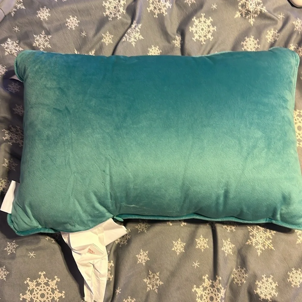 NEW Isaac Mizrahi BAD WITCH ENERGY Pillow